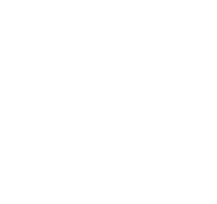 The Cardiff Arms